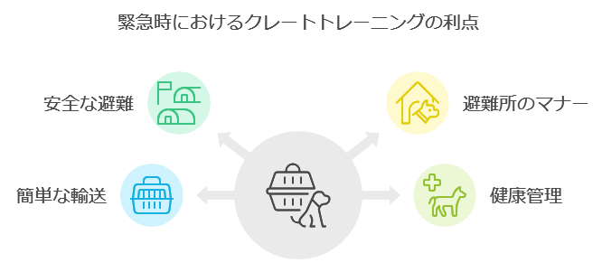 クレートトレーニングは災害時に役立つ