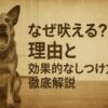 なぜ犬は吠えるの？