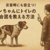 災害時にも役立つトイレトレーニング