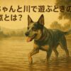 犬と川で遊ぶ時の注意点とは